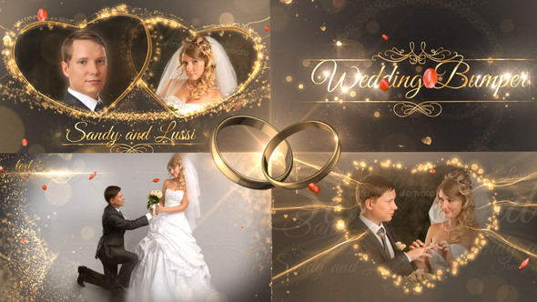 VideoHive Wedding Package 18844092